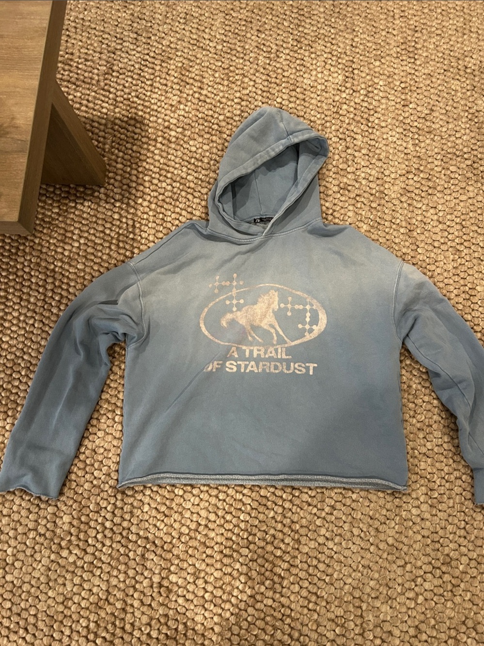 Zara Light Blue Graphic Hooded Sweater